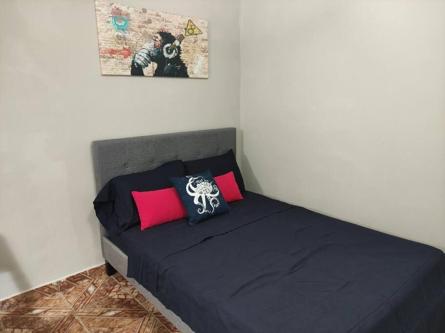 Acogedor Apartamento Completo En Boquete #1. Pet Friendly Διαμέρισμα Εξωτερικό φωτογραφία